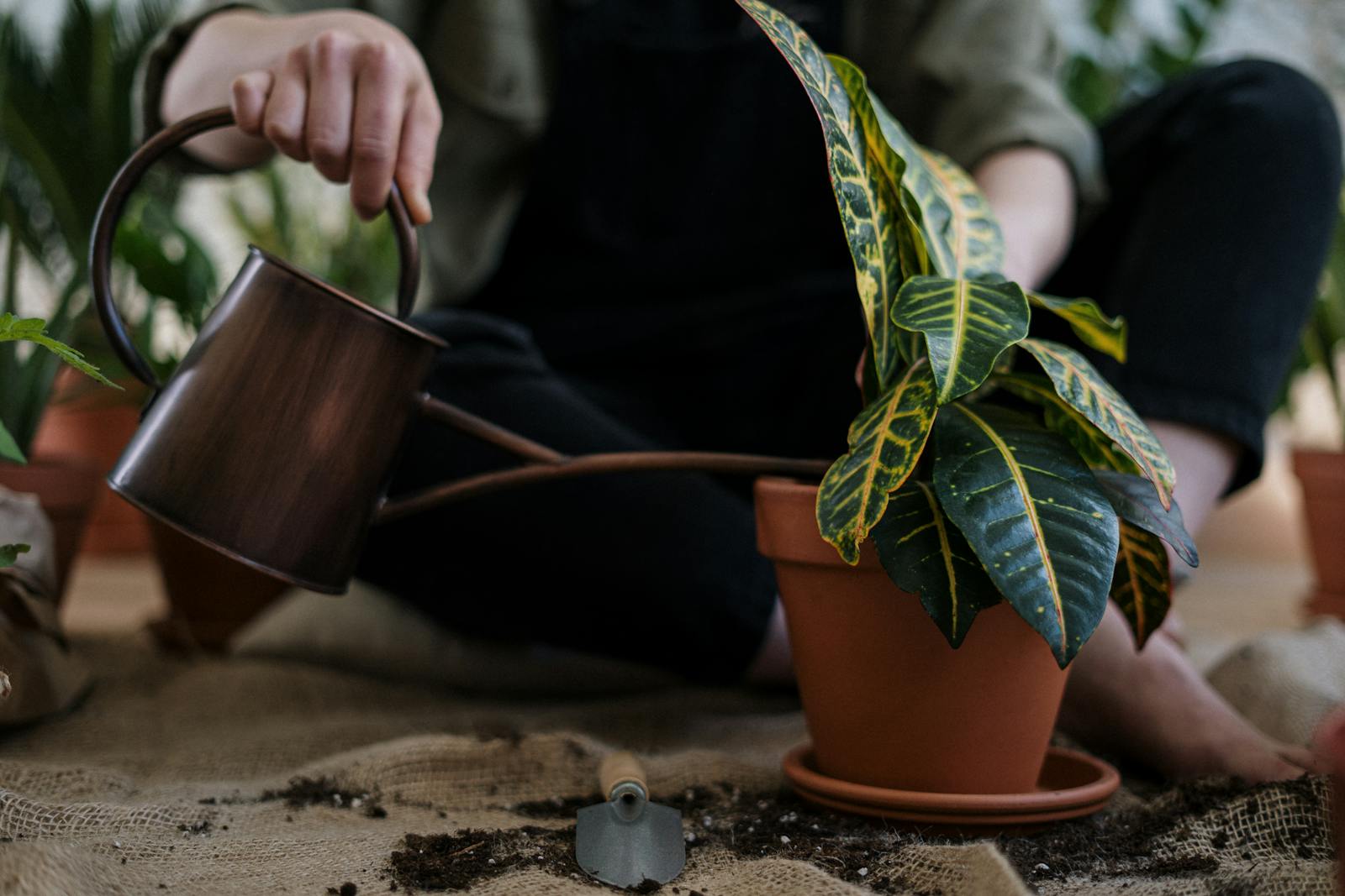 Démarrer un compost chez soi : le bon ratio, les erreurs à éviter et les gestes qui accélèrent tout