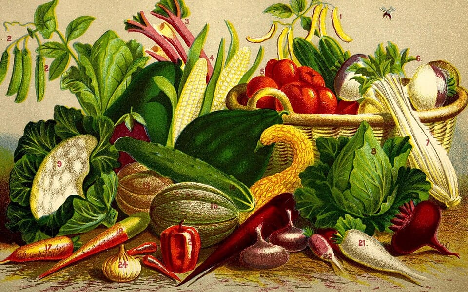 Cultiver des herbes aromatiques en pot sur le rebord de fenêtre