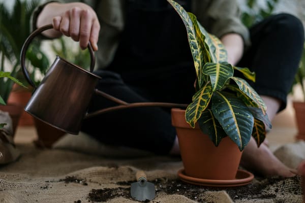 Démarrer un compost chez soi : le bon ratio, les erreurs à éviter et les gestes qui accélèrent tout