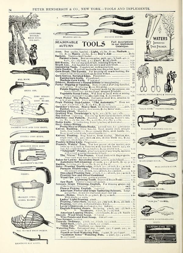Entretenir ses outils de jardinage : affûtage et désinfection
