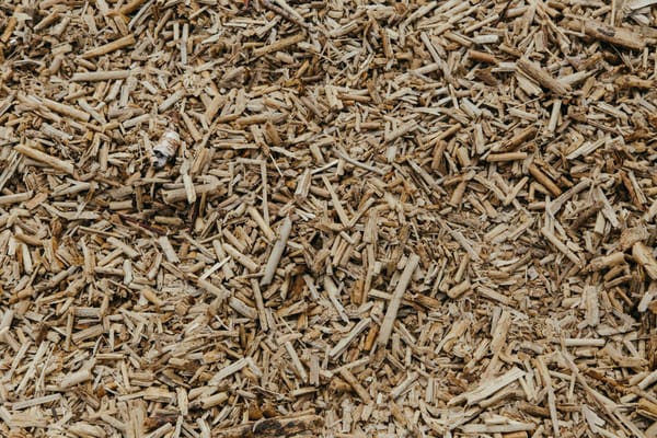 Paillage du potager fin mai 2026 : pourquoi le bon choix de matériau évite trois arrosages par semaine en juillet