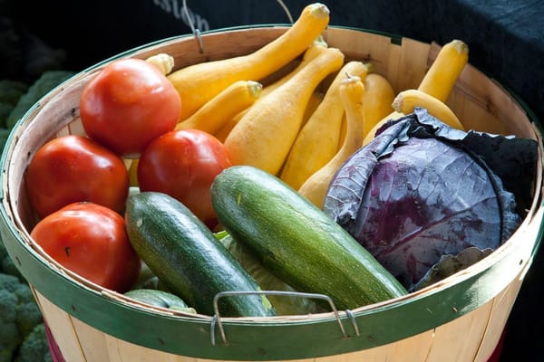 Trop de tomates, courgettes et aubergines en août : que faire de la surproduction du potager