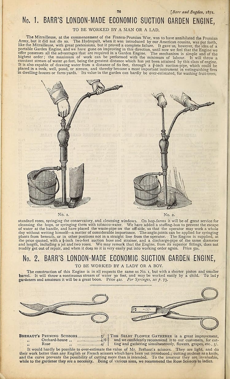 Préparer ses jardinières pour le printemps : substrat et plantation