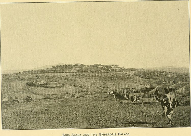 Potager en carrés : construire, planter et récolter toute l'année