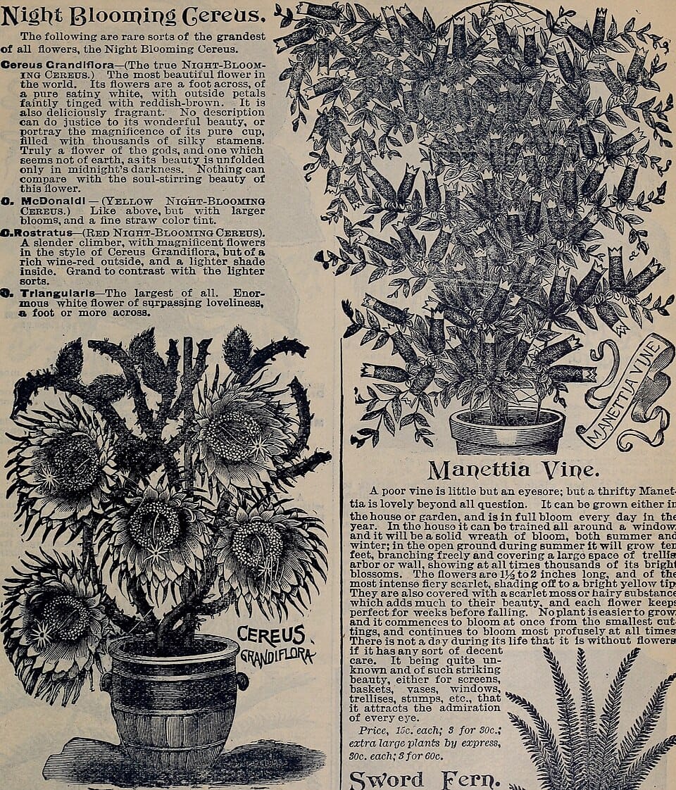 Fabriquer un composteur maison : guide pas à pas