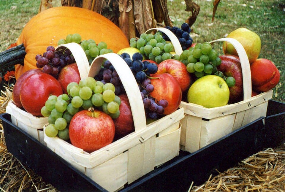 Récolter et conserver les légumes d'automne au potager