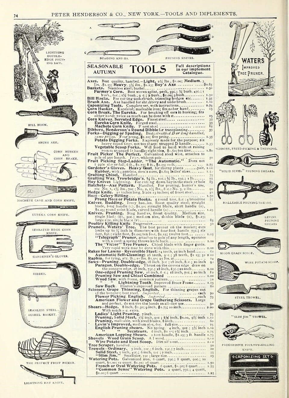 Entretenir ses outils de jardinage : affûtage et désinfection
