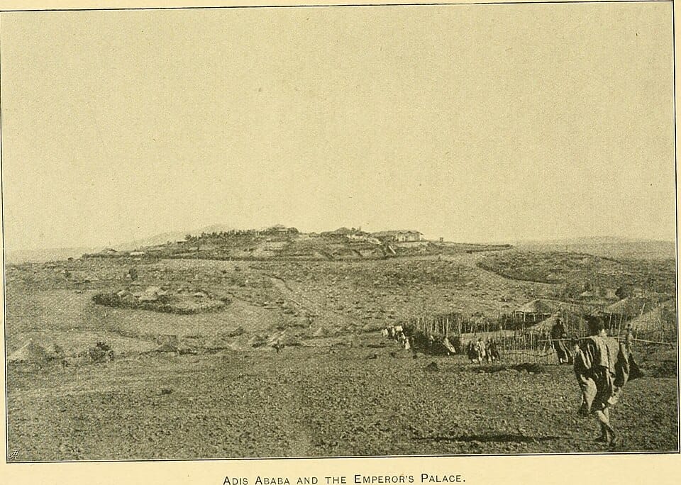 Potager en carrés : construire, planter et récolter toute l'année